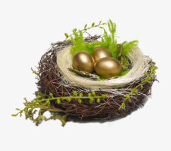 创意鸟巢中的金蛋素材