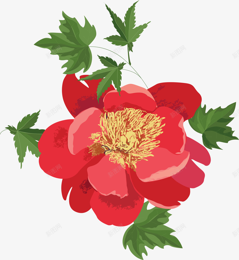 红色盛开的鲜花png免抠素材_新图网 https://ixintu.com 唯美 手绘 水彩 漂亮 花卉 花朵 装饰