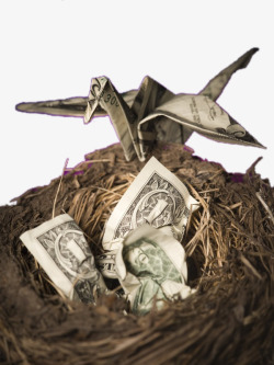 创意鸟巢中的钱币创意折成千纸鹤的钱币高清图片