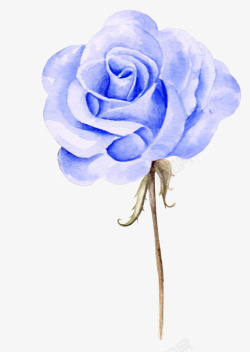 手绘蓝色玫瑰花图素材