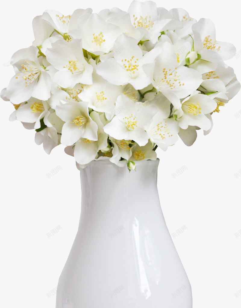 花瓶png免抠素材_新图网 https://ixintu.com 白色花朵 花蕾 鲜花
