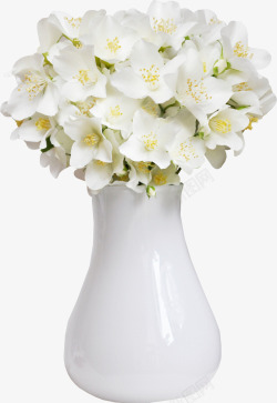 白色花蕾花瓶高清图片