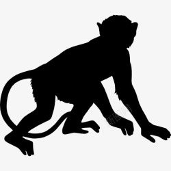 猴子轮廓猴子图标高清图片