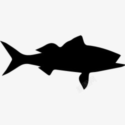 蓝鳍笛鲷笛鲷朱红色的笛鲷鱼的轮廓图标高清图片