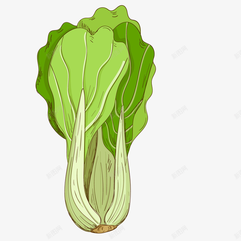绿色创意蔬菜元素矢量图ai免抠素材_新图网 https://ixintu.com 创意 卡通 插画 纹理 绿色 美食 蔬菜 矢量图