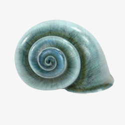 蜗牛形状蓝色蜗牛形状花纹大海螺高清图片