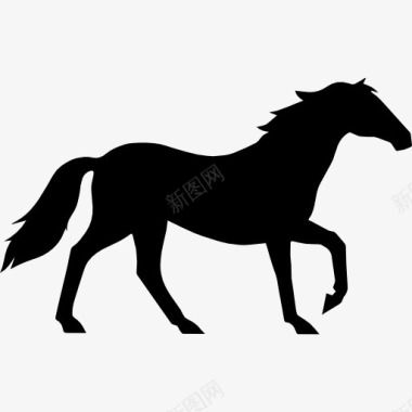 马走优雅的黑色侧面剪影图标图标