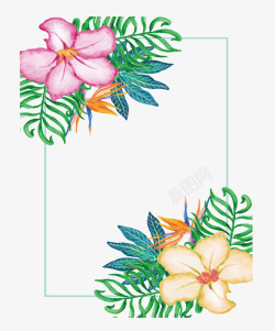 热带花朵标题框素材