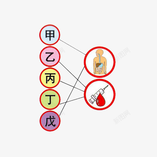 肝炎示意图png免抠素材_新图网 https://ixintu.com 健康 医药 卡通 治疗 示意图 肝炎 连线图