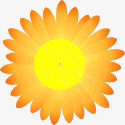 金葵花向日葵黄色花朵鲜花向阳花素材