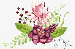 手绘水彩小清新植物图素材