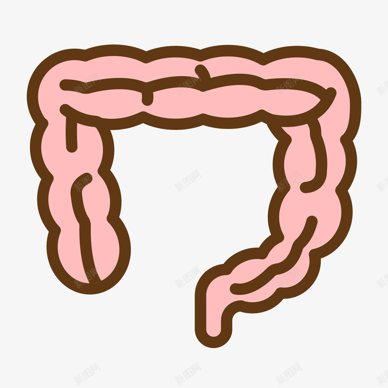 红色手绘弯曲肠子人体器官图标png_新图网 https://ixintu.com 健康 弧度 弯曲 扁平化 红色 肠子人体器官图标