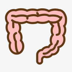 肠子手绘红色手绘弯曲肠子人体器官图标高清图片