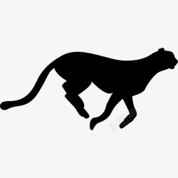 猫轮廓猎豹猫的剪影图标高清图片