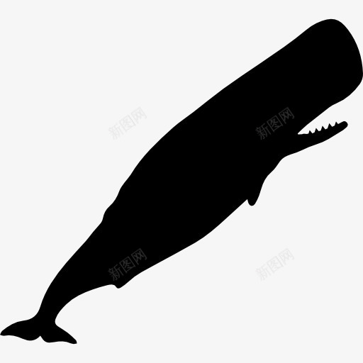 抹香鲸的剪影图标png_新图网 https://ixintu.com 动物 动物王国 哺乳动物 形状 轮廓 鲸
