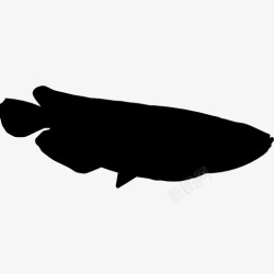鱼轮廓鱼龙鱼的形状图标高清图片