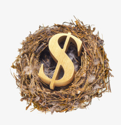 创意鸟巢中的鸡蛋创意鸟巢中的钱币符号高清图片