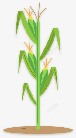 玉米秸秆秸秆卡通玉米矢量图高清图片