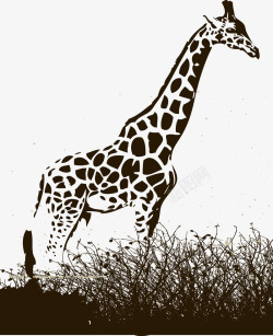 黑白长颈鹿长颈鹿矢量图高清图片