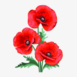 园艺与花卉插画红色花束手绘插画高清图片