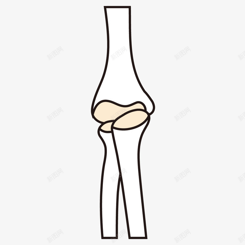 骨头关节形状图标png_新图网 https://ixintu.com 卡通 图标 彩绘 手绘 插画 骨头 骨头关节形状