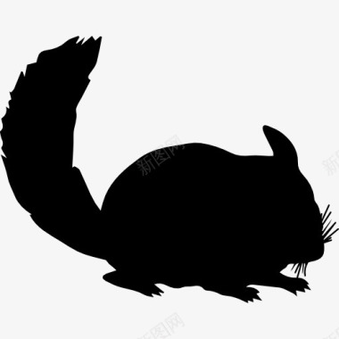 南美洲栗鼠动物剪影图标图标