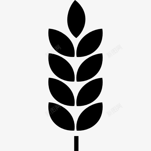 植物的叶子图标png_新图网 https://ixintu.com 叶 形状 形状自然 性质 枝 植物 科学的图标 自然 黑色
