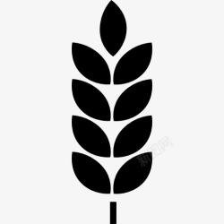 科学图标的形状植物的叶子图标高清图片