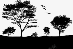 黑白树木树林飞行的鸟矢量图高清图片