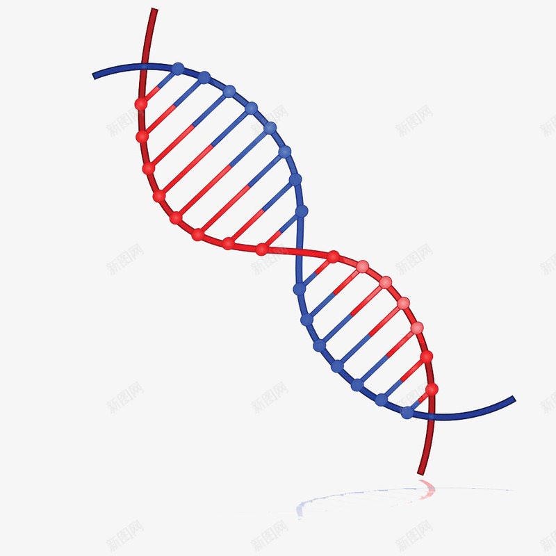 基因png免抠素材_新图网 https://ixintu.com 健康 医疗 基因 基因链 治疗 药品