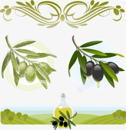 姒沧牱咖啡与橄榄矢量图高清图片