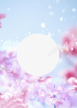桃花标题花瓣粉色背景高清图片