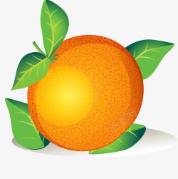 立体手绘风格柑橘素材