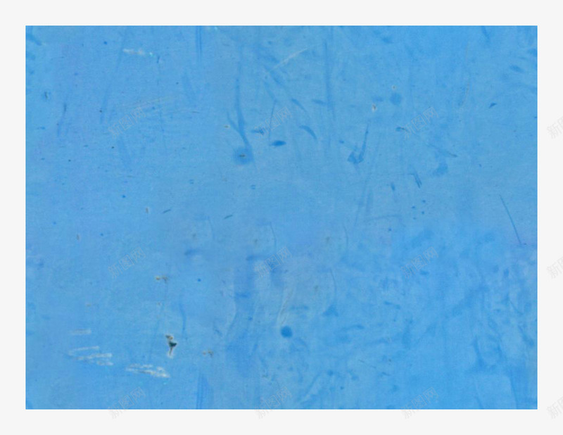 蓝色斑驳塑料底纹png免抠素材_新图网 https://ixintu.com 塑料底纹 塑料纹理 塑料肌理 斑驳 背景 蓝色