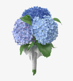 一大束花蓝色鲜花球高清图片