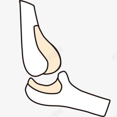 骨头关节形状图标图标