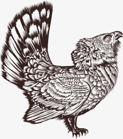 公鸡团免费PNG下载卡通创意民族风动物装饰海报高清图片