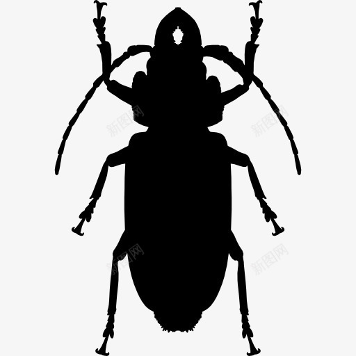 蟑螂形状图标png_新图网 https://ixintu.com 动物 动物王国 小强 形状 昆虫 蟑螂 轮廓