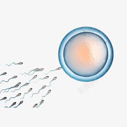受孕卡通精子和卵子高清图片