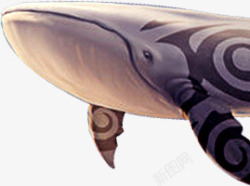 海底动物卡通鲨鱼形状素材