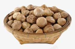 蘑菇饮食一篮鲜香菇高清图片