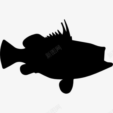 石斑鱼的形状图标图标