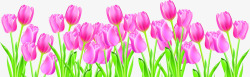 粉色鲜花手绘花朵草地素材