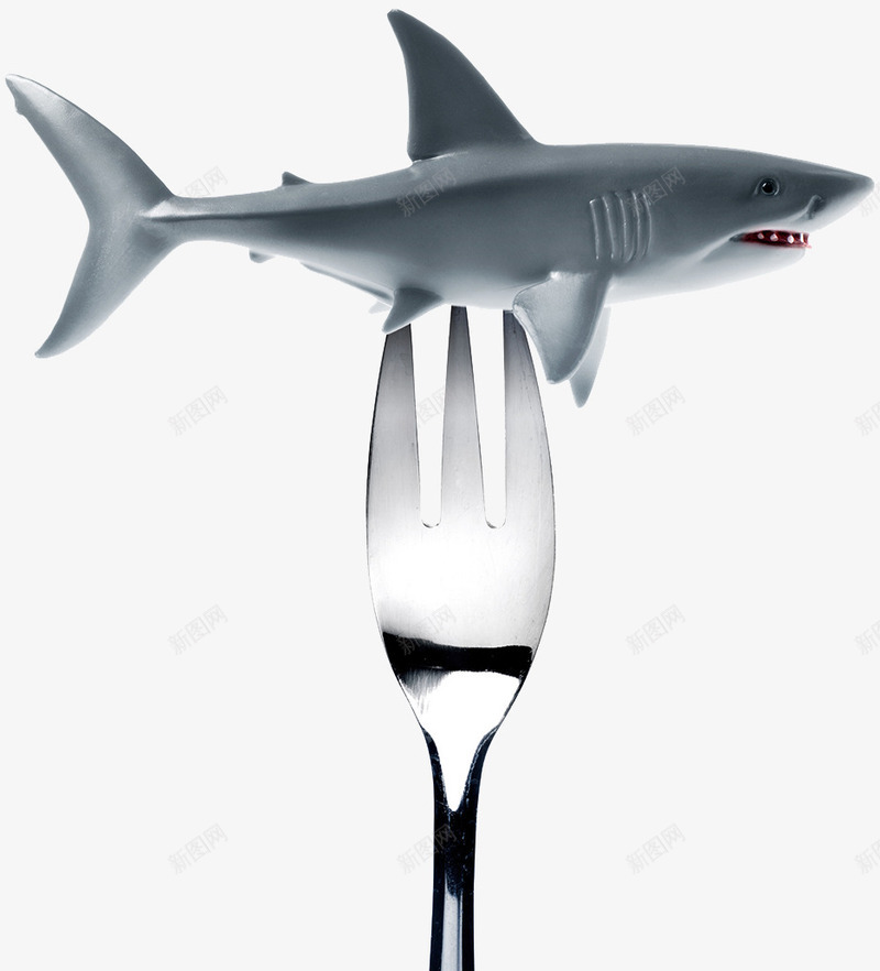 禁止捕食鲨鱼psd免抠素材_新图网 https://ixintu.com 刀叉 大白鲨 模型 鱼类
