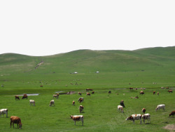 内蒙古旅游横版内蒙古景点克什克腾大草原高清图片