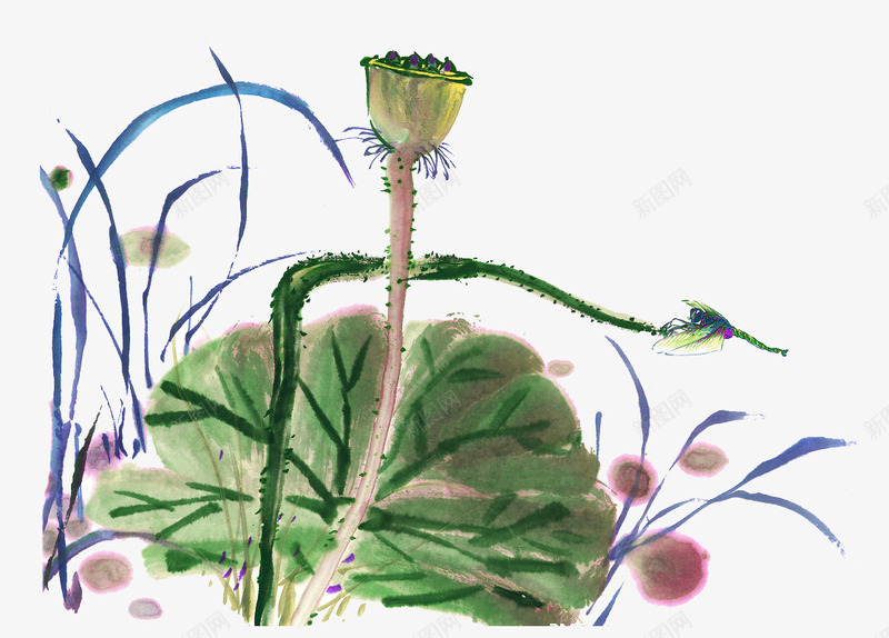 绘画水墨荷png免抠素材_新图网 https://ixintu.com 手绘 植物 水墨荷 绘画 荷花