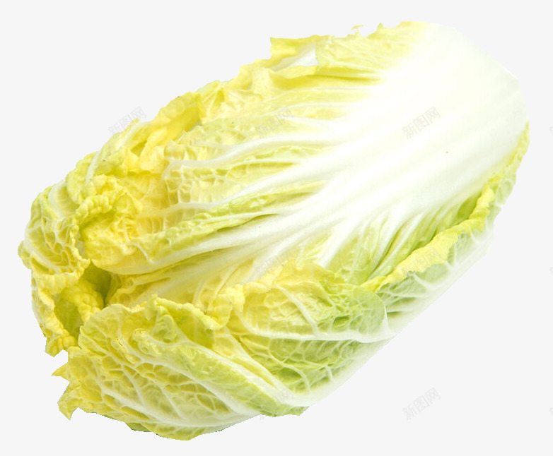 一颗大白菜png免抠素材_新图网 https://ixintu.com 产品实物 健康 大白菜 有机 绿色 菜叶