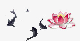 莲花荷花psd免抠素材_新图网 https://ixintu.com 小鱼 荷花 莲花