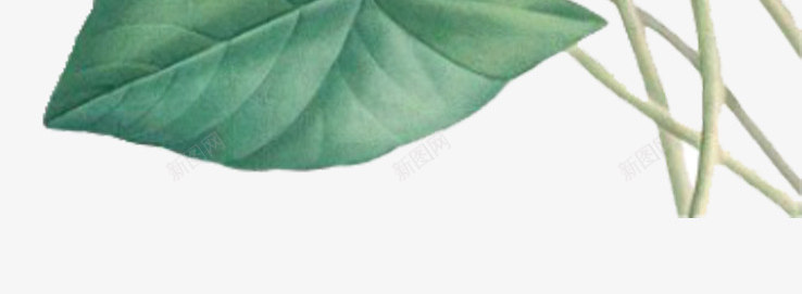 手绘荷花png免抠素材_新图网 https://ixintu.com PPT 免抠PNG 商务 绿色 荷花