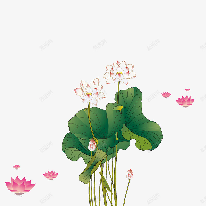 荷花莲花png免抠素材_新图网 https://ixintu.com 花卉 荷叶 荷花 莲花